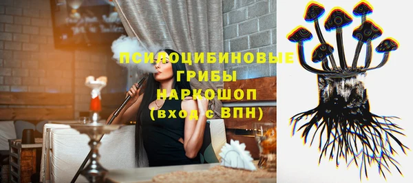 гидра Алзамай