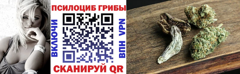 Псилоцибиновые грибы Magic Shrooms где можно купить наркотик кракен маркетплейс Тулун